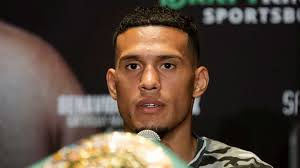 Bivol